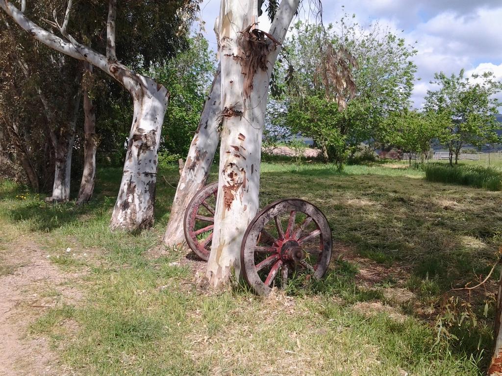 Agriturismo Spinalva Perfugas Екстер'єр фото